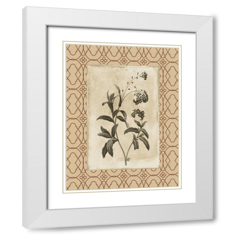 Floral bordered 4 White Modern Wood Framed Art Print with Double Matting by Grey, Jace