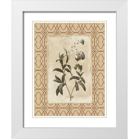 Floral bordered 4 White Modern Wood Framed Art Print with Double Matting by Grey, Jace