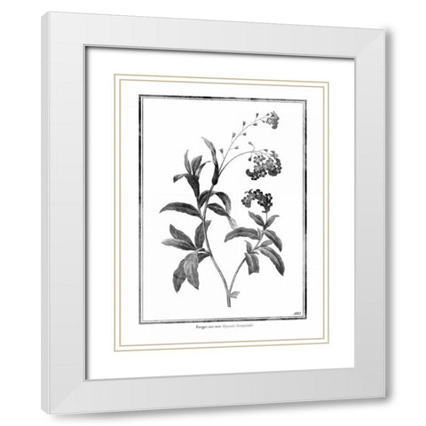 Forget me not White Modern Wood Framed Art Print with Double Matting by Grey, Jace