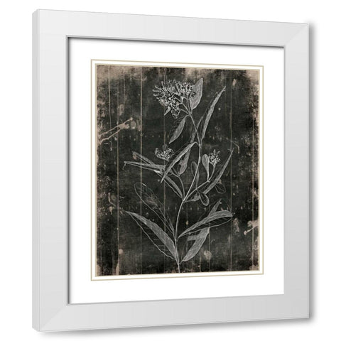 Wood Floral White Modern Wood Framed Art Print with Double Matting by Grey, Jace