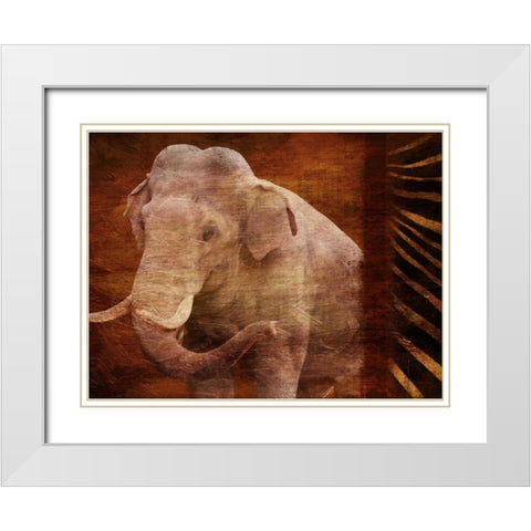Elephant Instinct White Modern Wood Framed Art Print with Double Matting by Grey, Jace