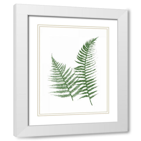 Green Ferns White Modern Wood Framed Art Print with Double Matting by Grey, Jace