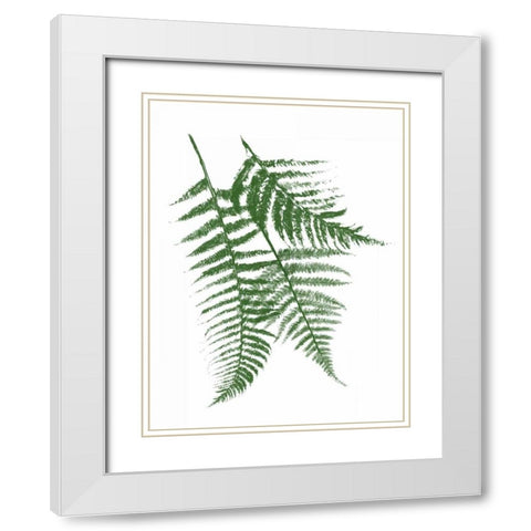 Green Ferns Mate White Modern Wood Framed Art Print with Double Matting by Grey, Jace