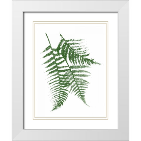 Green Ferns Mate White Modern Wood Framed Art Print with Double Matting by Grey, Jace