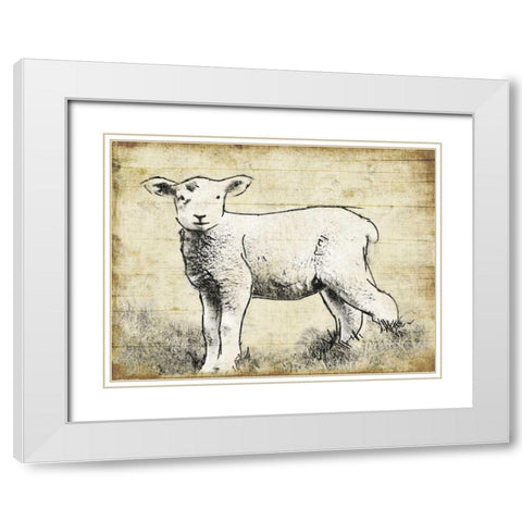 Vintage Lamb Sketch White Modern Wood Framed Art Print with Double Matting by Grey, Jace