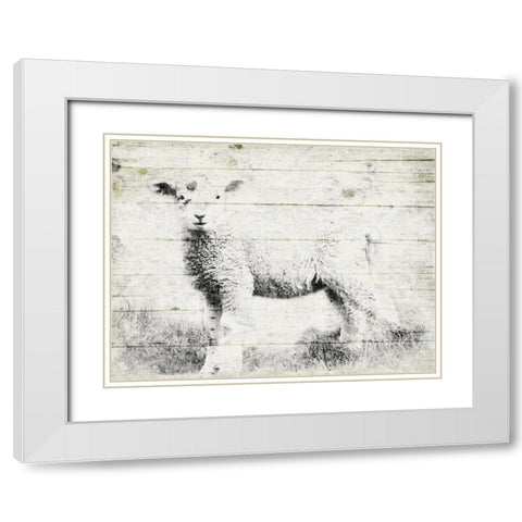 Vintage Lamb White Modern Wood Framed Art Print with Double Matting by Grey, Jace