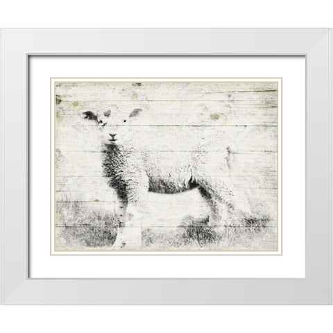 Vintage Lamb White Modern Wood Framed Art Print with Double Matting by Grey, Jace