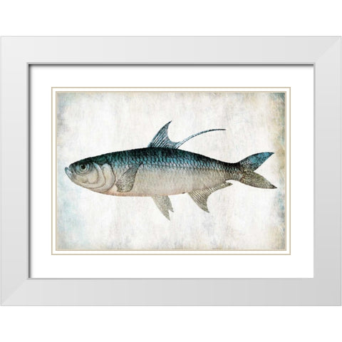 Blue Fish White Modern Wood Framed Art Print with Double Matting by Grey, Jace
