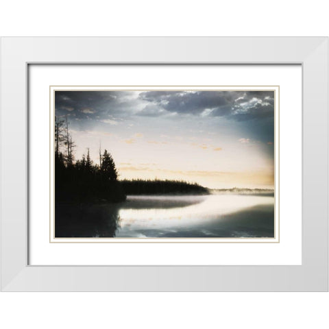 Foggy Forest White Modern Wood Framed Art Print with Double Matting by Grey, Jace