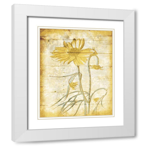 Calm Day Breeze White Modern Wood Framed Art Print with Double Matting by Grey, Jace