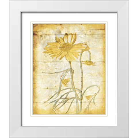 Calm Day Breeze White Modern Wood Framed Art Print with Double Matting by Grey, Jace