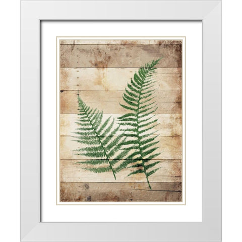 Ferns On Wood White Modern Wood Framed Art Print with Double Matting by Grey, Jace