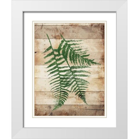 Ferns On Wood Mate White Modern Wood Framed Art Print with Double Matting by Grey, Jace