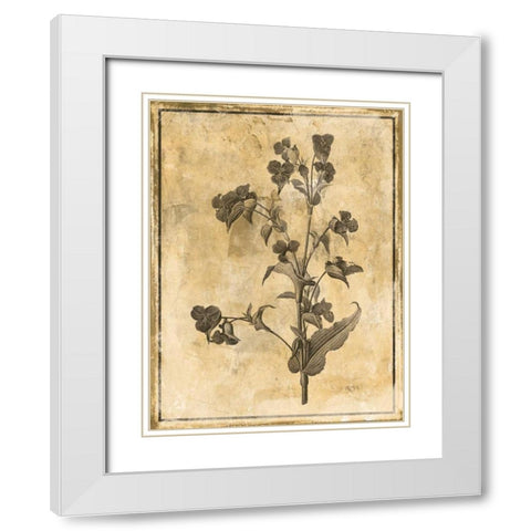 Stencil Floral White Modern Wood Framed Art Print with Double Matting by Grey, Jace