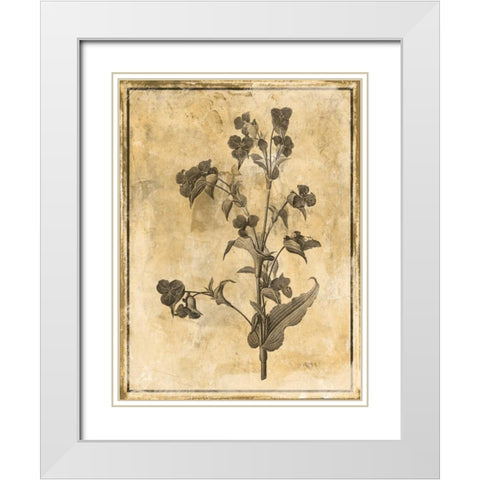 Stencil Floral White Modern Wood Framed Art Print with Double Matting by Grey, Jace
