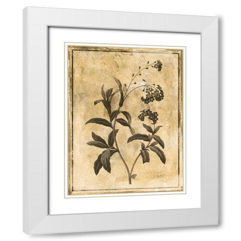 Stencil Floral Mate White Modern Wood Framed Art Print with Double Matting by Grey, Jace