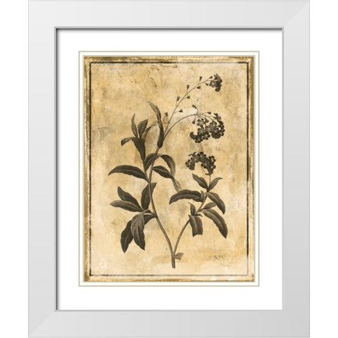 Stencil Floral Mate White Modern Wood Framed Art Print with Double Matting by Grey, Jace