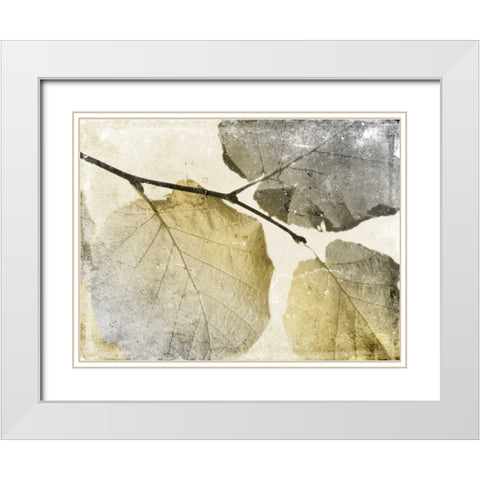 Classic Leaves White Modern Wood Framed Art Print with Double Matting by Grey, Jace