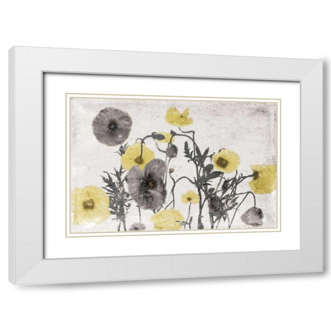 Stone Wash Poppies Light White Modern Wood Framed Art Print with Double Matting by Grey, Jace