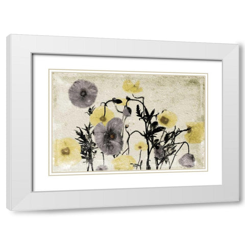 Stone Wash Poppies White Modern Wood Framed Art Print with Double Matting by Grey, Jace