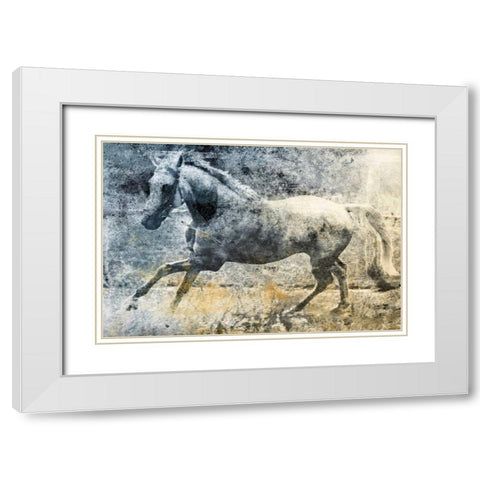 Washed Out Horse White Modern Wood Framed Art Print with Double Matting by Grey, Jace