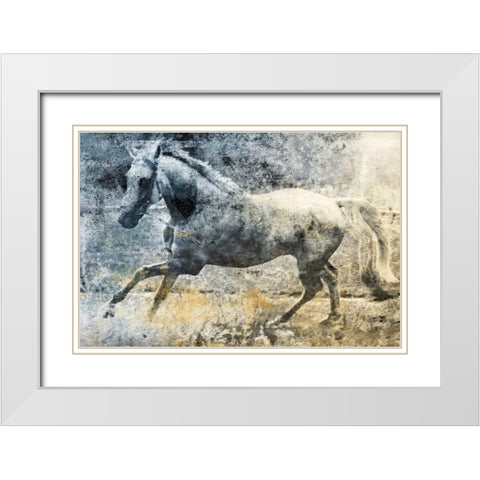 Washed Out Horse White Modern Wood Framed Art Print with Double Matting by Grey, Jace