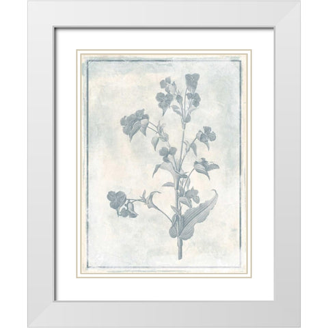 Sky Floral Cleaner White Modern Wood Framed Art Print with Double Matting by Grey, Jace