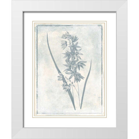 Sky Floral Three Cleaner White Modern Wood Framed Art Print with Double Matting by Grey, Jace