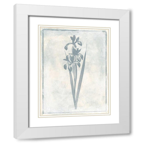 Sky Floral Four Cleaner White Modern Wood Framed Art Print with Double Matting by Grey, Jace