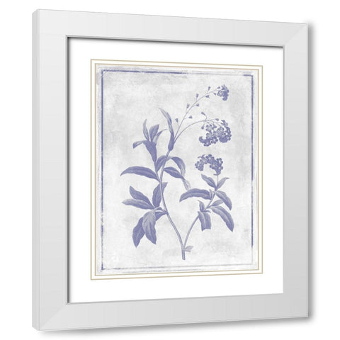 Monochrome Floral Lavender 2 White Modern Wood Framed Art Print with Double Matting by Grey, Jace