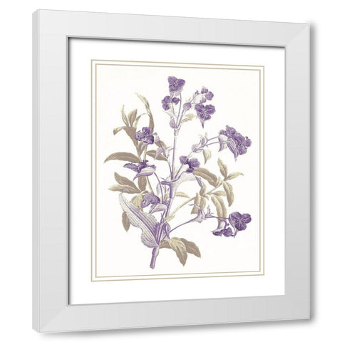 Lavender Flowers White Modern Wood Framed Art Print with Double Matting by Grey, Jace