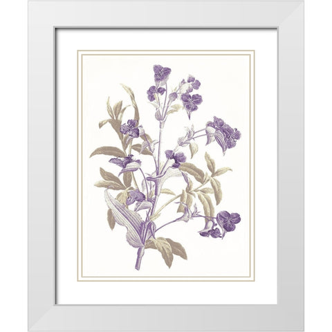 Lavender Flowers White Modern Wood Framed Art Print with Double Matting by Grey, Jace