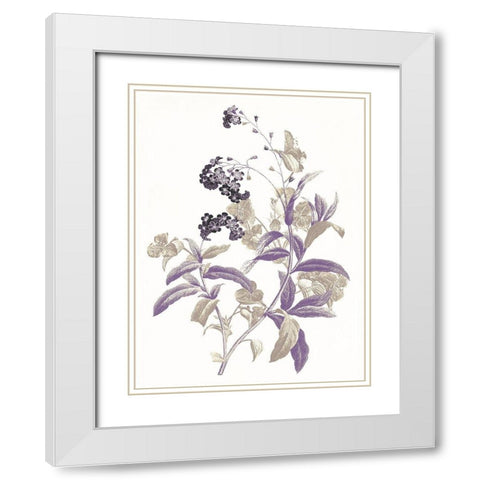 Lavender Flowers Two White Modern Wood Framed Art Print with Double Matting by Grey, Jace