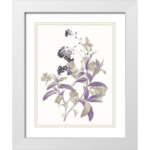 Lavender Flowers Two White Modern Wood Framed Art Print with Double Matting by Grey, Jace