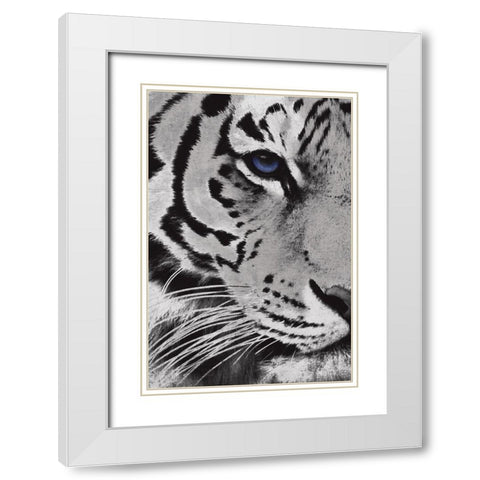 Tiger Purple Eye White Modern Wood Framed Art Print with Double Matting by Grey, Jace
