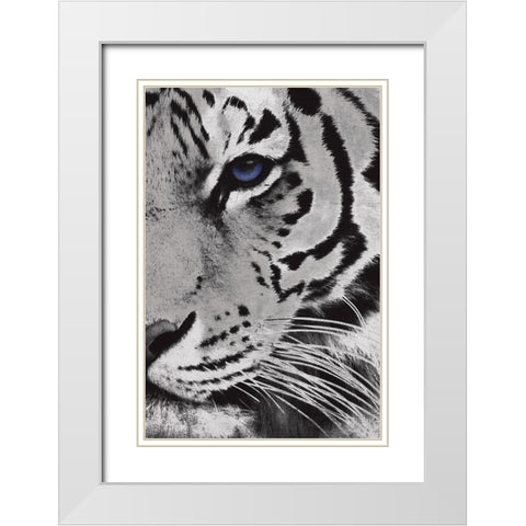 Tiger Purple Eye Mate White Modern Wood Framed Art Print with Double Matting by Grey, Jace