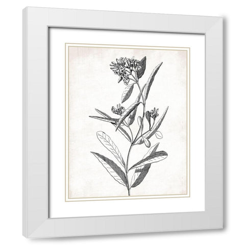 Cream Black Florals White Modern Wood Framed Art Print with Double Matting by Grey, Jace