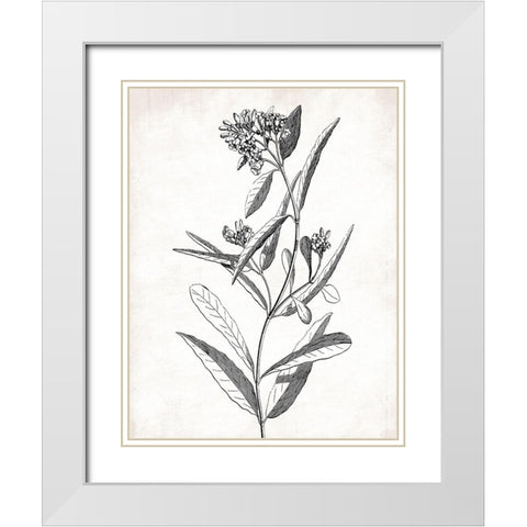 Cream Black Florals White Modern Wood Framed Art Print with Double Matting by Grey, Jace