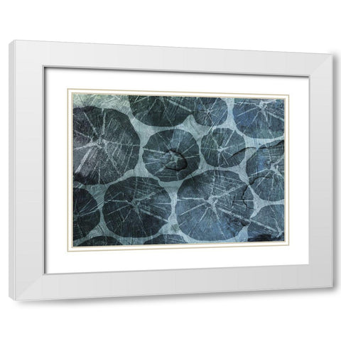 Muted Shells White Modern Wood Framed Art Print with Double Matting by Grey, Jace