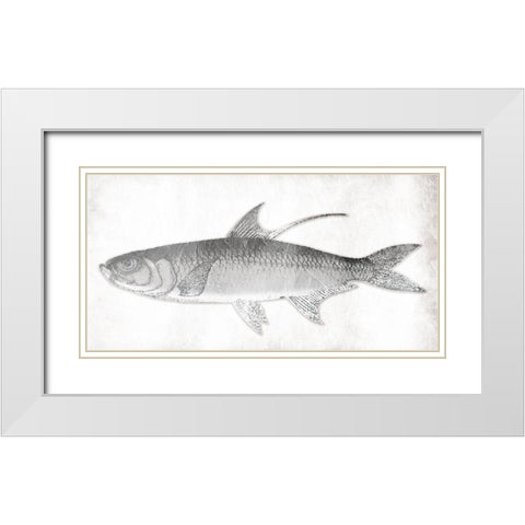 Grey Fish White Modern Wood Framed Art Print with Double Matting by Grey, Jace