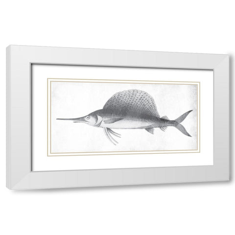 Grey Sword Fish White Modern Wood Framed Art Print with Double Matting by Grey, Jace
