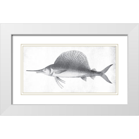 Grey Sword Fish White Modern Wood Framed Art Print with Double Matting by Grey, Jace