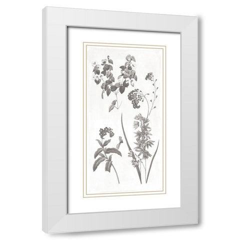 Plants White Modern Wood Framed Art Print with Double Matting by Grey, Jace