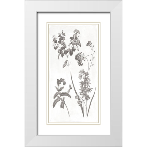 Plants White Modern Wood Framed Art Print with Double Matting by Grey, Jace