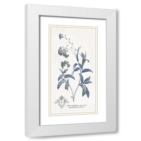 Beautiful Flowers White Modern Wood Framed Art Print with Double Matting by Grey, Jace