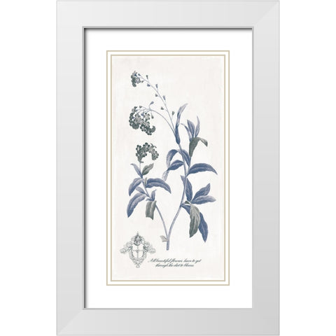 Beautiful Flowers White Modern Wood Framed Art Print with Double Matting by Grey, Jace