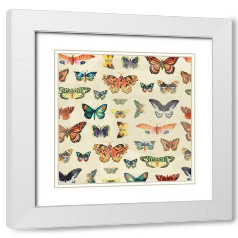 Butterfly White Modern Wood Framed Art Print with Double Matting by Grey, Jace