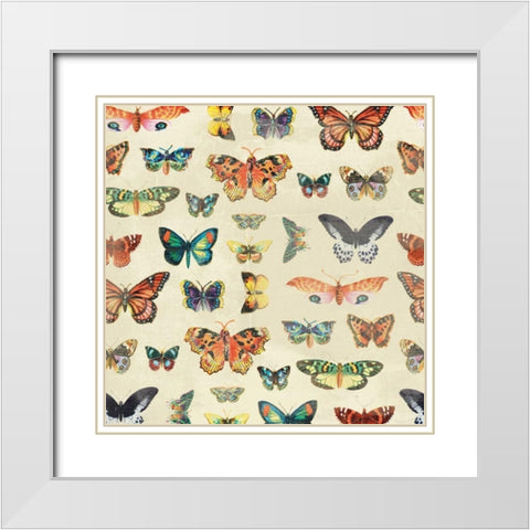 Butterfly White Modern Wood Framed Art Print with Double Matting by Grey, Jace