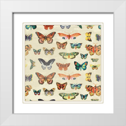 Butterfly 2 White Modern Wood Framed Art Print with Double Matting by Grey, Jace