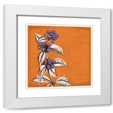 Flowers White Modern Wood Framed Art Print with Double Matting by Grey, Jace